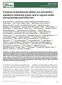 Cover page: Common schizophrenia alleles are enriched in mutation-intolerant genes and in regions under strong background selection