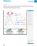 Cover page: A pair of commissural command neurons induces Drosophila wing grooming