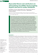 Cover page: Myocardial fibrosis and calcification are attenuated by microRNA–129-5p targeting Asporin and Sox9 in cardiac fibroblasts