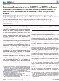 Cover page: Bone morphogenetic protein 9 (BMP9) and BMP10 enhance tumor necrosis factor-α-induced monocyte recruitment to the vascular endothelium mainly via activin receptor-like kinase 2