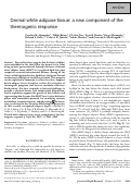 Cover page: Dermal white adipose tissue: a new component of the thermogenic response