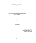 Cover page: Geographic space and time: The consequences of the spatial footprint for neighborhood crime