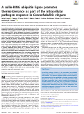 Cover page: A cullin-RING ubiquitin ligase promotes thermotolerance as part of the intracellular pathogen response in Caenorhabditis elegans