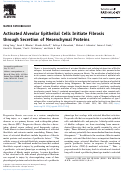 Cover page: Activated alveolar epithelial cells initiate fibrosis through secretion of mesenchymal proteins.