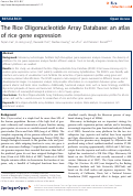 Cover page: The Rice Oligonucleotide Array Database: an atlas of rice gene expression.