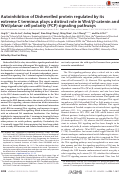 Cover page: Autoinhibition of Dishevelled protein regulated by its extreme C terminus plays a distinct role in Wnt/β-catenin and Wnt/planar cell polarity (PCP) signaling pathways