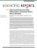 Cover page: Early Social Stress Promotes Inflammation and Disease Risk in Rhesus Monkeys