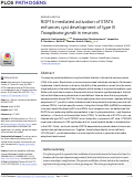 Cover page: ROP16-mediated activation of STAT6 enhances cyst development of type III Toxoplasma gondii in neurons.