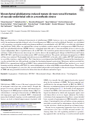 Cover page: Mesenchymal glioblastoma-induced mature de-novo vessel formation of vascular endothelial cells in a microfluidic device.