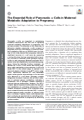 Cover page: The Essential Role of Pancreatic α-Cells in Maternal Metabolic Adaptation to Pregnancy.