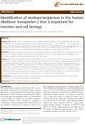 Cover page: Identification of residues/sequences in the human riboflavin transporter-2 that is important for function and cell biology