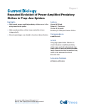 Cover page: Repeated Evolution of Power-Amplified Predatory Strikes in Trap-Jaw Spiders