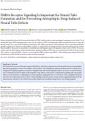 Cover page: NMDA Receptor Signaling Is Important for Neural Tube Formation and for Preventing Antiepileptic Drug-Induced Neural Tube Defects