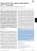 Cover page: Cdc48 cofactor Shp1 regulates signal-induced SCFMet30 disassembly