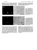 Cover page: A clonal theory of parasitic protozoa: the population structures of Entamoeba, Giardia, Leishmania, Naegleria, Plasmodium, Trichomonas, and Trypanosoma and their medical and taxonomical consequences.