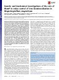 Cover page: Genetic and biochemical investigations of the role of MamP in redox control of iron biomineralization in Magnetospirillum magneticum.