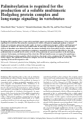 Cover page: Palmitoylation is required for the production of a soluble multimeric Hedgehog protein complex and long-range signaling in vertebrates