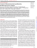 Cover page: Control of ribosomal protein synthesis by the Microprocessor complex