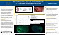 Cover page: Placental Mesenchymal Stem Cells Improve Motor Function in a Rat Unilateral Spinal Cord Contusion Model