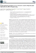 Cover page: Transcriptional Analysis of Coccidioides immitis Mycelia and Spherules by RNA Sequencing