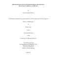 Cover page: MONETARY SANCTIONS IN FEDERAL CRIMINAL SENTENCING: SIGNIFICANCE, PRISON, AND POLICY