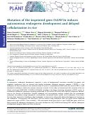 Cover page: Mutation of the imprinted gene OsEMF2a induces autonomous endosperm development and delayed cellularization in rice