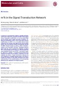 Cover page: m6A in the Signal Transduction Network