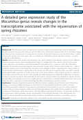 Cover page: A detailed gene expression study of the Miscanthus genus reveals changes in the transcriptome associated with the rejuvenation of spring rhizomes