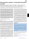 Cover page: Bilin-dependent regulation of chlorophyll biosynthesis by GUN4