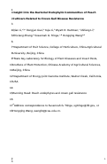 Cover page: Insight into the Bacterial Endophytic Communities of Peach Cultivars Related to Crown Gall Disease Resistance