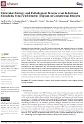 Cover page: Molecular Biology and Pathological Process of an Infectious Bronchitis Virus with Enteric Tropism in Commercial Broilers.