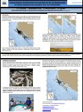 Cover page: Conectando servicios ecosistémicos de manglares en Bahía Magdalena-Almejas y pesquerías  