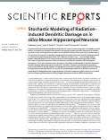 Cover page: Stochastic Modeling of Radiation-induced Dendritic Damage on in silico Mouse Hippocampal Neurons