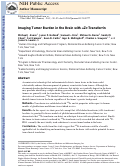 Cover page: Imaging Tumor Burden in the Brain with 89Zr-Transferrin