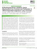 Cover page: N-Myristoytransferase Inhibition Causes Mitochondrial Iron Overload and Parthanatos in TIM17A-Dependent Aggressive Lung Carcinoma