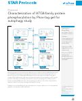 Cover page: Characterization of ATG8-family protein phosphorylation by Phos-tag gel for autophagy study