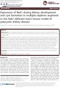 Cover page: Expression of Nek1 during kidney development and cyst formation in multiple nephron segments in the Nek1-deficient kat2J mouse model of polycystic kidney disease