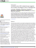 Cover page: LF4/MOK and a CDK-related kinase regulate the number and length of cilia in Tetrahymena