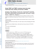 Cover page: Human TRMT1 and TRMT1L paralogs ensure the proper modification state, stability, and function of tRNAs.