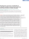 Cover page: Stoichiometric expression of mtHsp40 and mtHsp70 modulates mitochondrial morphology and cristae structure via Opa1L cleavage