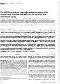 Cover page: The KCNE2 potassium channel β subunit is required for normal lung function and resilience to ischemia and reperfusion injury