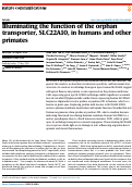 Cover page: Illuminating the function of the orphan transporter, SLC22A10, in humans and other primates.