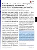 Cover page: Mesoscale ocean fronts enhance carbon export due to gravitational sinking and subduction.