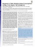 Cover page: Mechanism of DNA alkylation-induced transcriptional stalling, lesion bypass, and mutagenesis