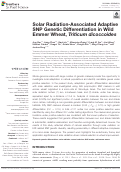 Cover page: Solar Radiation-Associated Adaptive SNP Genetic Differentiation in Wild Emmer Wheat, Triticum dicoccoides.