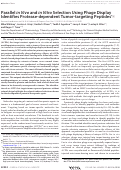 Cover page: Parallel in Vivo and in Vitro Selection Using Phage Display Identifies Protease-dependent Tumor-targeting Peptides*