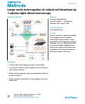 Cover page: Large-scale interrogation of retinal cell functions by 1-photon light-sheet microscopy