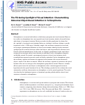 Cover page: The flickering spotlight of visual attention: Characterizing abnormal object-based attention in schizophrenia.