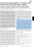 Cover page: Activation loop phosphorylation of a non-RD receptor kinase initiates plant innate immune signaling.