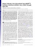 Cover page: Murine leukemia virus glycosylated Gag (gPr80gag) facilitates interferon-sensitive virus release through lipid rafts